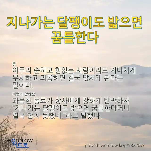“지나가는 달팽이도 밟으면 꿈틀한다” 글씨와 뜻·예문이 완성된 속담 영상 포스터