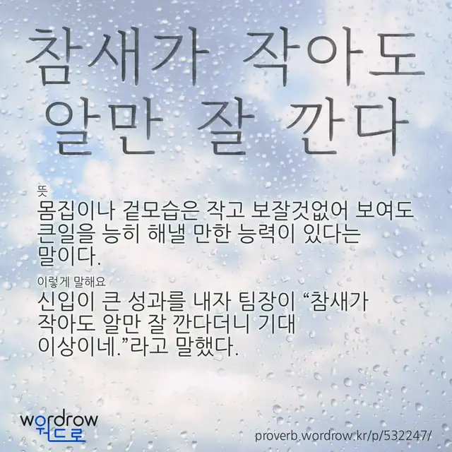 “참새가 작아도 알만 잘 깐다” 글씨와 뜻·예문이 완성된 속담 영상 포스터