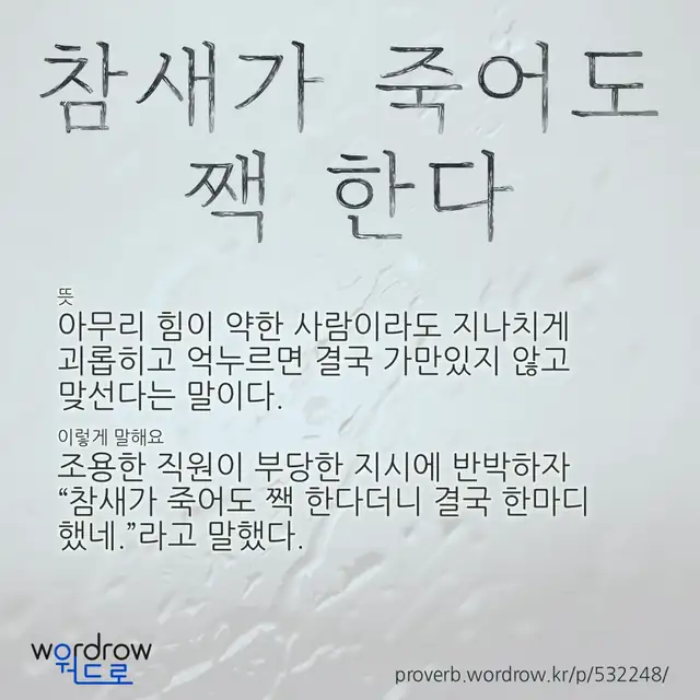 “참새가 죽어도 짹 한다” 글씨와 뜻·예문이 완성된 속담 영상 포스터
