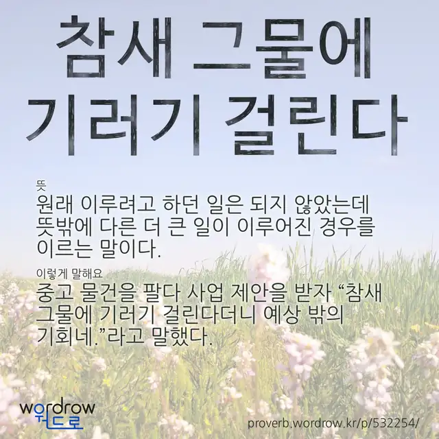 “참새 그물에 기러기 걸린다” 글씨와 뜻·예문이 완성된 속담 영상 포스터