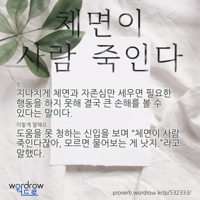“체면이 사람 죽인다” 글씨와 뜻·예문이 완성된 속담 영상 포스터