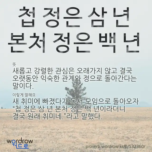 “첩 정은 삼 년 본처 정은 백 년” 글씨와 뜻·예문이 완성된 속담 영상 포스터