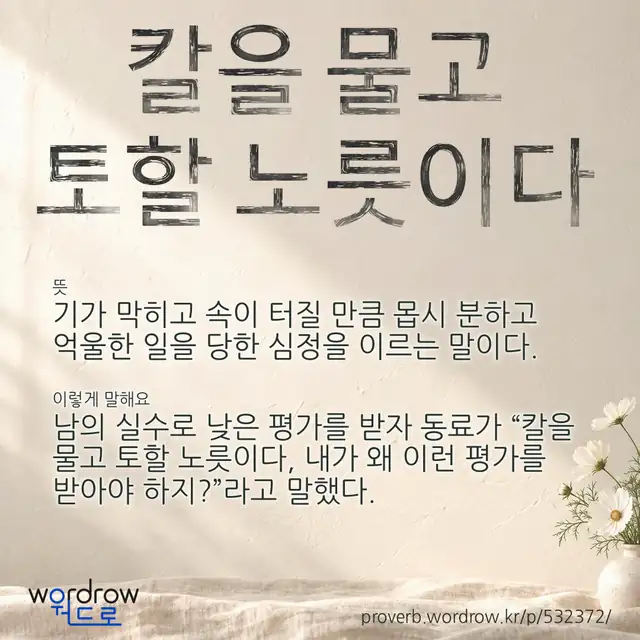 “칼을 물고 토할 노릇이다” 글씨와 뜻·예문이 완성된 속담 영상 포스터