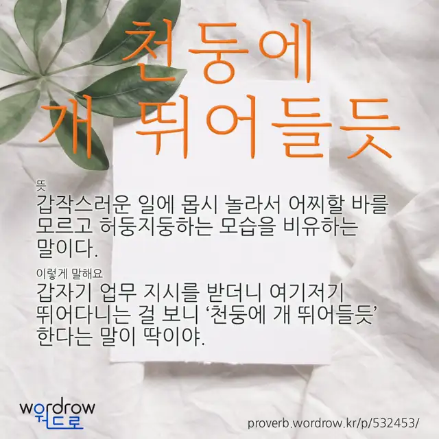 “천둥에 개 뛰어들듯” 글씨와 뜻·예문이 완성된 속담 영상 포스터