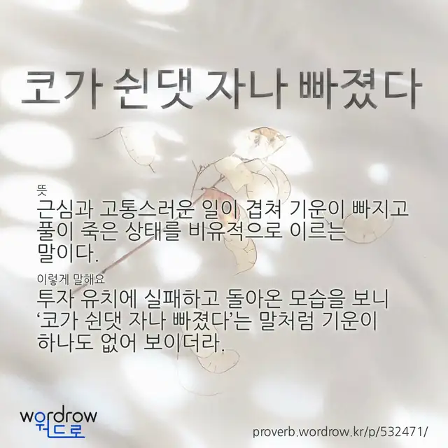 “코가 쉰댓 자나 빠졌다” 글씨와 뜻·예문이 완성된 속담 영상 포스터