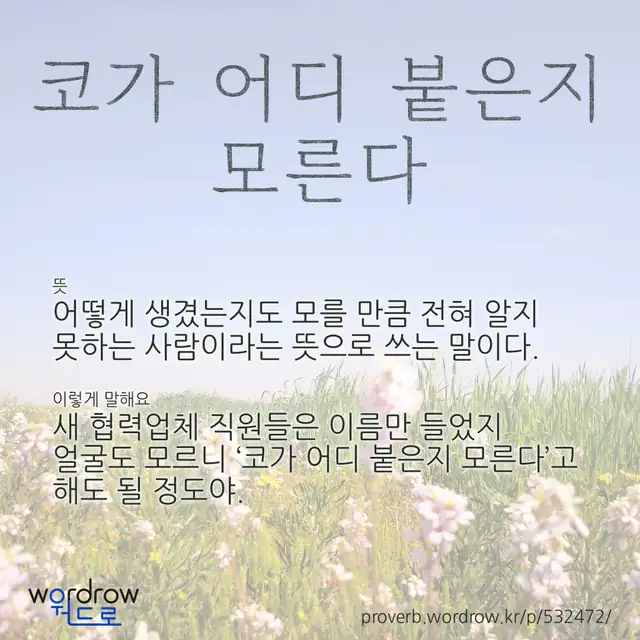 “코가 어디 붙은지 모른다” 글씨와 뜻·예문이 완성된 속담 영상 포스터