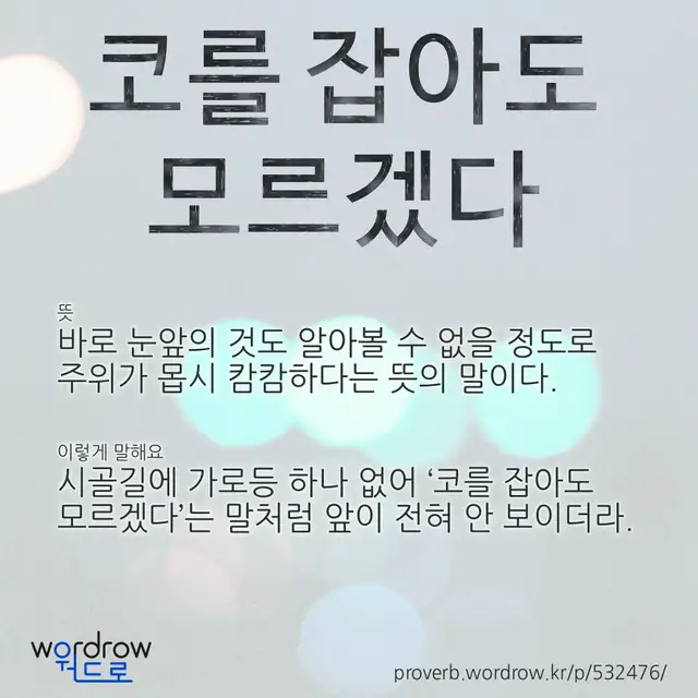 “코를 잡아도 모르겠다” 글씨와 뜻·예문이 완성된 속담 영상 포스터