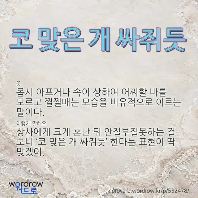 “코 맞은 개 싸쥐듯” 글씨와 뜻·예문이 완성된 속담 영상 포스터