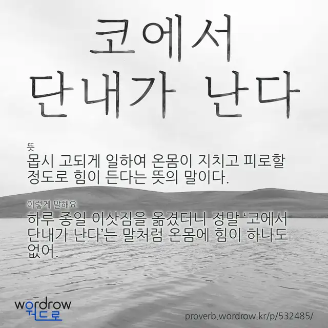 “코에서 단내가 난다” 글씨와 뜻·예문이 완성된 속담 영상 포스터