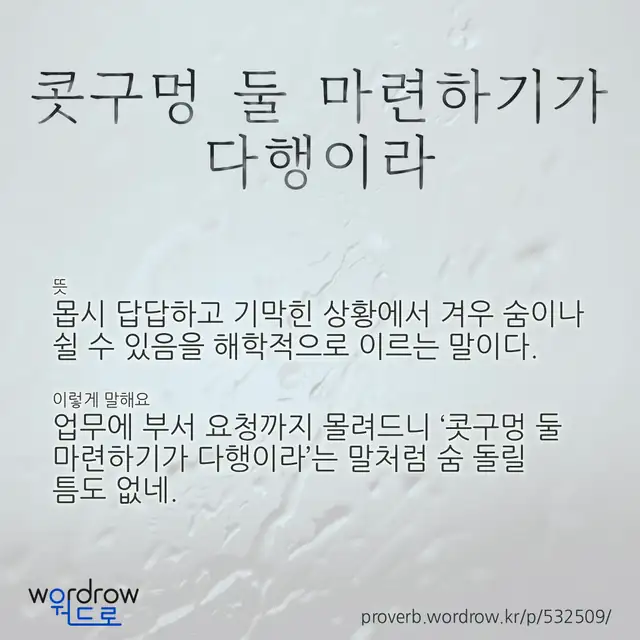 “콧구멍 둘 마련하기가 다행이라” 글씨와 뜻·예문이 완성된 속담 영상 포스터