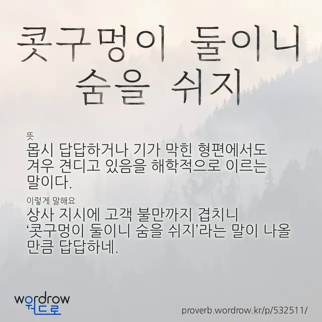 “콧구멍이 둘이니 숨을 쉬지” 글씨와 뜻·예문이 완성된 속담 영상 포스터