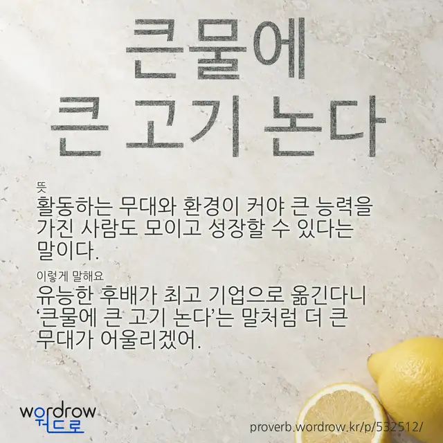 “큰물에 큰 고기 논다” 글씨와 뜻·예문이 완성된 속담 영상 포스터