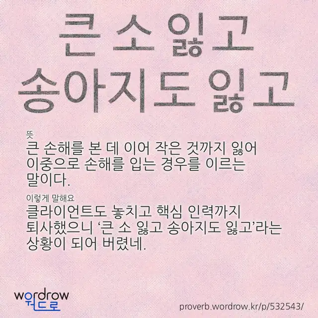 “큰 소 잃고 송아지도 잃고” 글씨와 뜻·예문이 완성된 속담 영상 포스터