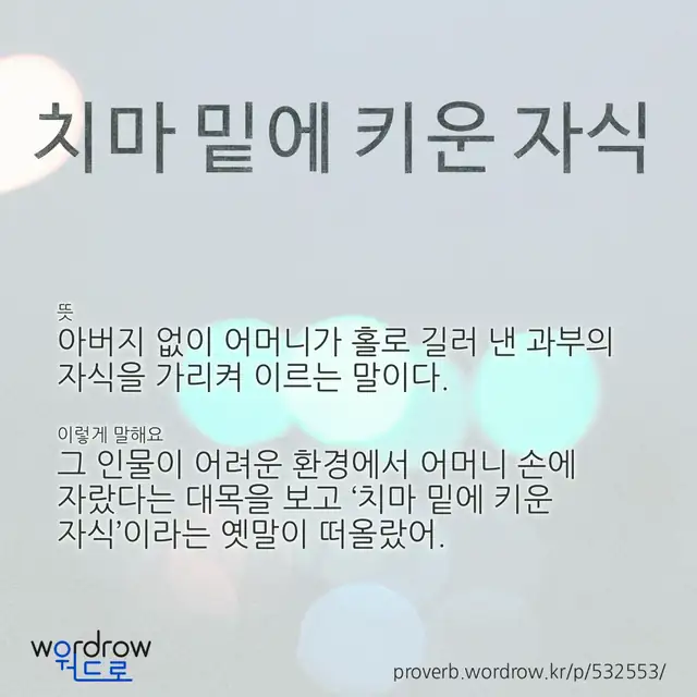 “치마 밑에 키운 자식” 글씨와 뜻·예문이 완성된 속담 영상 포스터