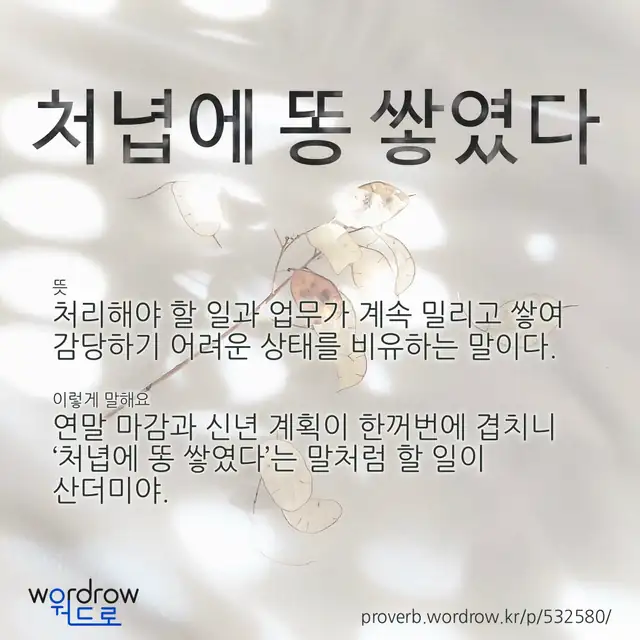 “처녑에 똥 쌓였다” 글씨와 뜻·예문이 완성된 속담 영상 포스터
