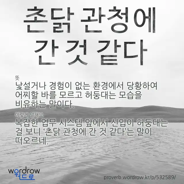 “촌닭 관청에 간 것 같다” 글씨와 뜻·예문이 완성된 속담 영상 포스터