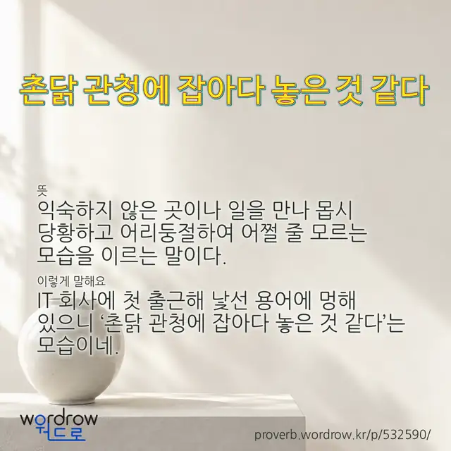 “촌닭 관청에 잡아다 놓은 것 같다” 글씨와 뜻·예문이 완성된 속담 영상 포스터