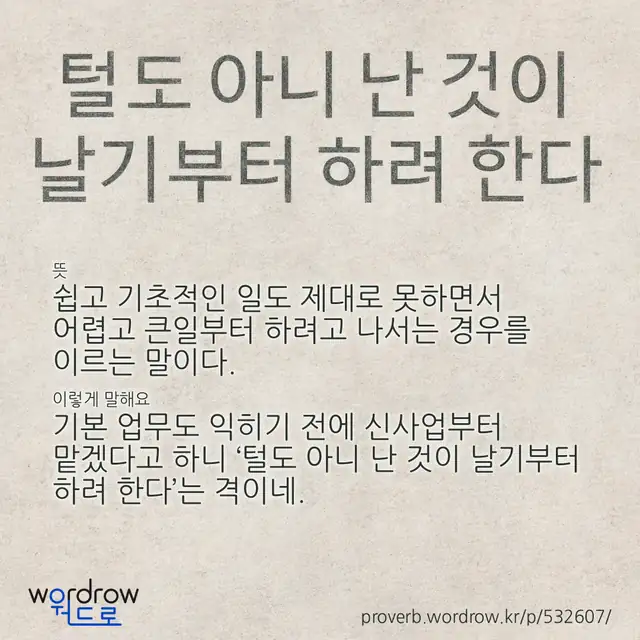 “털도 아니 난 것이 날기부터 하려 한다” 글씨와 뜻·예문이 완성된 속담 영상 포스터