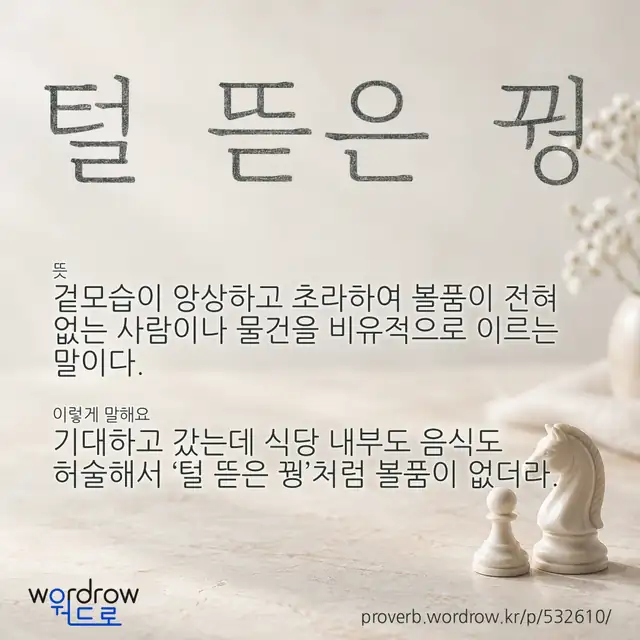 “털 뜯은 꿩” 글씨와 뜻·예문이 완성된 속담 영상 포스터