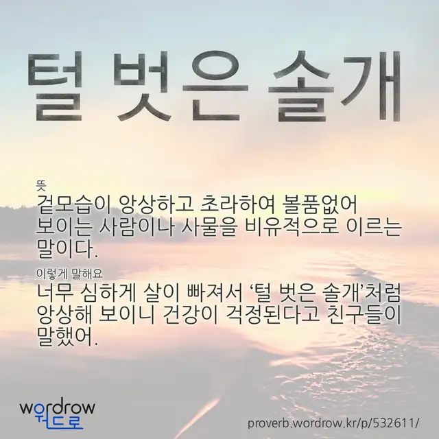 “털 벗은 솔개” 글씨와 뜻·예문이 완성된 속담 영상 포스터