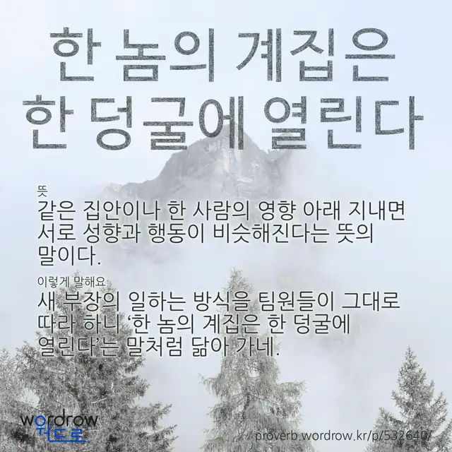 “한 놈의 계집은 한 덩굴에 열린다” 글씨와 뜻·예문이 완성된 속담 영상 포스터