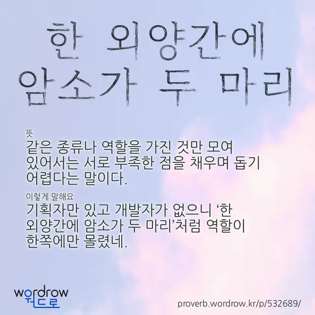 “한 외양간에 암소가 두 마리” 글씨와 뜻·예문이 완성된 속담 영상 포스터
