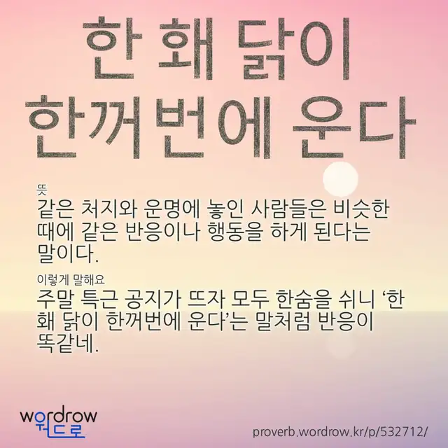 “한 홰 닭이 한꺼번에 운다” 글씨와 뜻·예문이 완성된 속담 영상 포스터