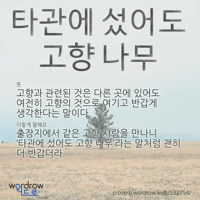 “타관에 섰어도 고향 나무” 글씨와 뜻·예문이 완성된 속담 영상 포스터