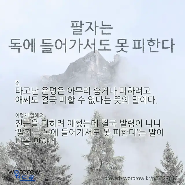 “팔자는 독에 들어가서도 못 피한다” 글씨와 뜻·예문이 완성된 속담 영상 포스터