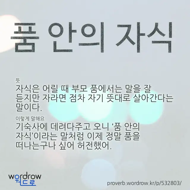 “품 안의 자식” 글씨와 뜻·예문이 완성된 속담 영상 포스터