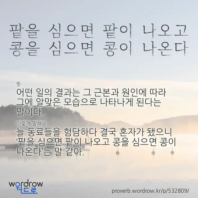 “팥을 심으면 팥이 나오고 콩을 심으면 콩이 나온다” 글씨와 뜻·예문이 완성된 속담 영상 포스터