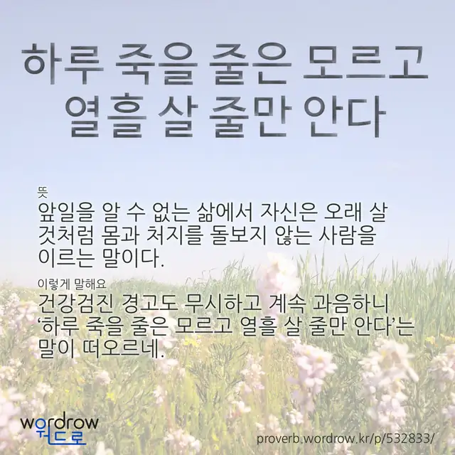 “하루 죽을 줄은 모르고 열흘 살 줄만 안다” 글씨와 뜻·예문이 완성된 속담 영상 포스터