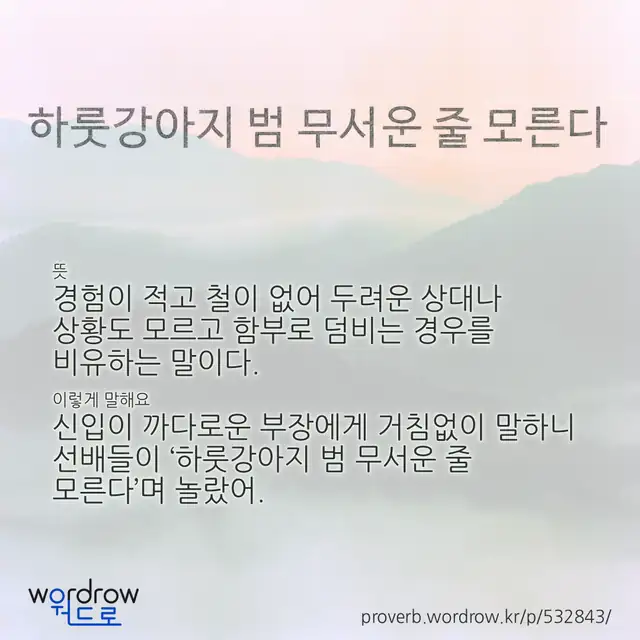 “하룻강아지 범 무서운 줄 모른다” 글씨와 뜻·예문이 완성된 속담 영상 포스터