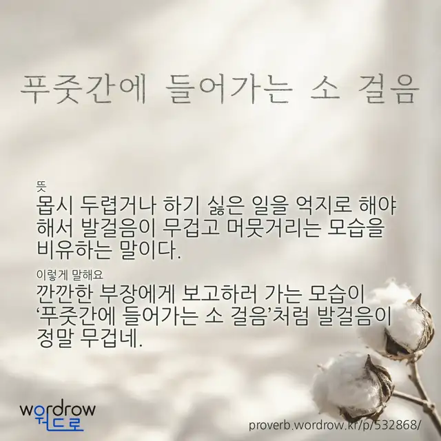 “푸줏간에 들어가는 소 걸음” 글씨와 뜻·예문이 완성된 속담 영상 포스터