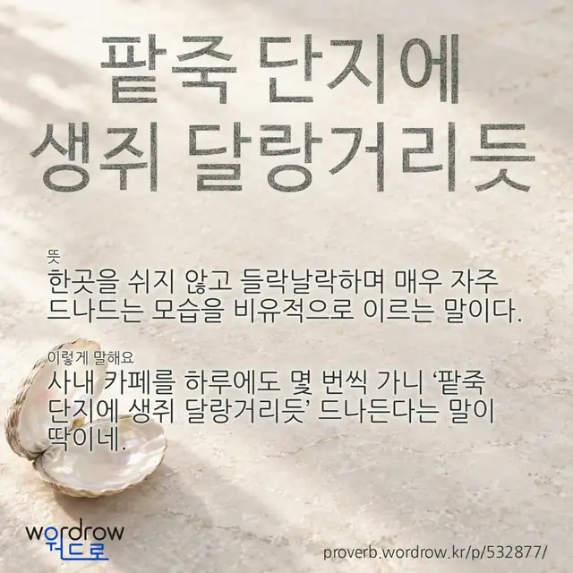 “팥죽 단지에 생쥐 달랑거리듯” 글씨와 뜻·예문이 완성된 속담 영상 포스터
