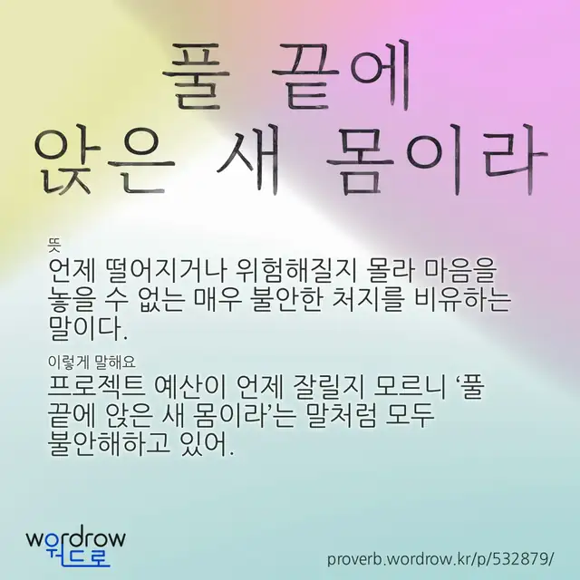 “풀 끝에 앉은 새 몸이라” 글씨와 뜻·예문이 완성된 속담 영상 포스터