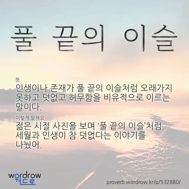 “풀 끝의 이슬” 글씨와 뜻·예문이 완성된 속담 영상 포스터