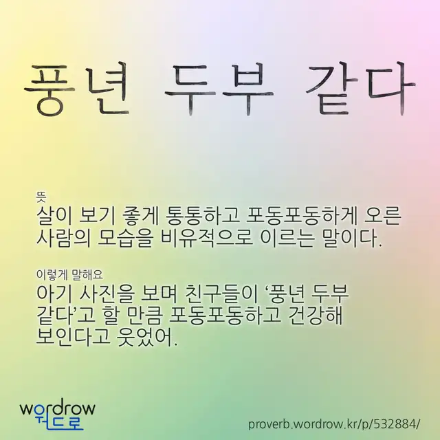 “풍년 두부 같다” 글씨와 뜻·예문이 완성된 속담 영상 포스터