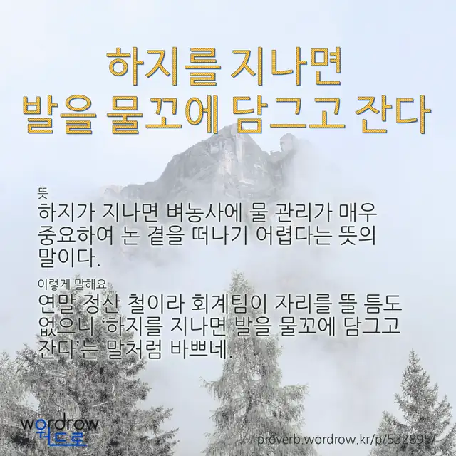 “하지를 지나면 발을 물꼬에 담그고 잔다” 글씨와 뜻·예문이 완성된 속담 영상 포스터