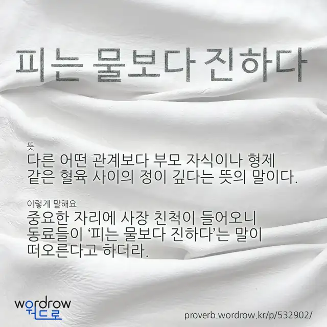 “피는 물보다 진하다” 글씨와 뜻·예문이 완성된 속담 영상 포스터