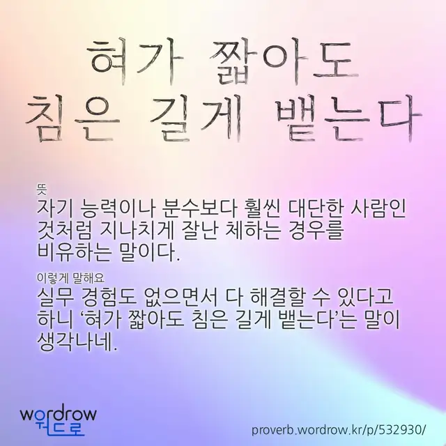 “혀가 짧아도 침은 길게 뱉는다” 글씨와 뜻·예문이 완성된 속담 영상 포스터