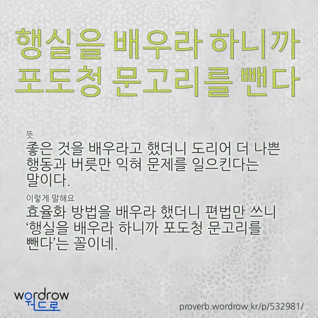 “행실을 배우라 하니까 포도청 문고리를 뺀다” 글씨와 뜻·예문이 완성된 속담 영상 포스터
