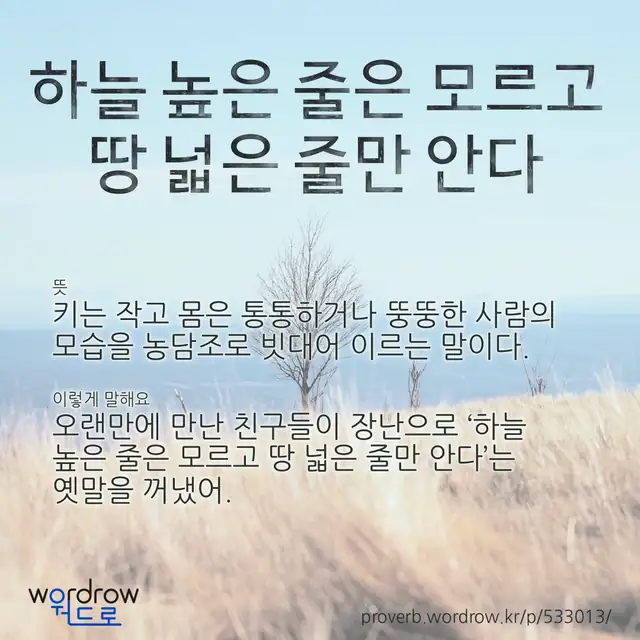 “하늘 높은 줄은 모르고 땅 넓은 줄만 안다” 글씨와 뜻·예문이 완성된 속담 영상 포스터