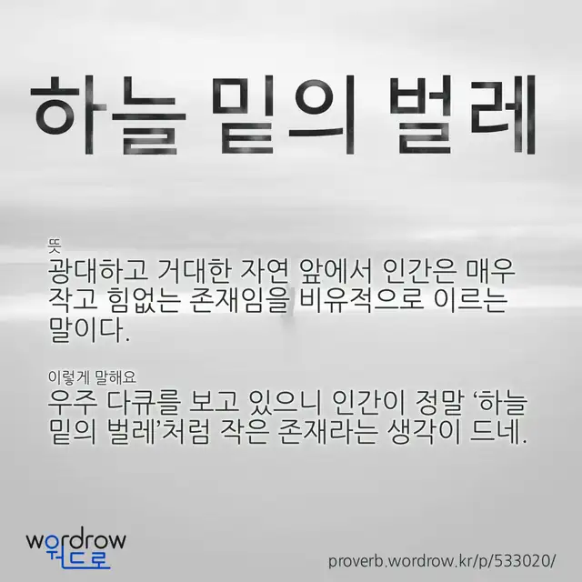 “하늘 밑의 벌레” 글씨와 뜻·예문이 완성된 속담 영상 포스터