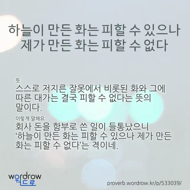 “하늘이 만든 화는 피할 수 있으나 제가 만든 화는 피할 수 없다” 글씨와 뜻·예문이 완성된 속담 영상 포스터