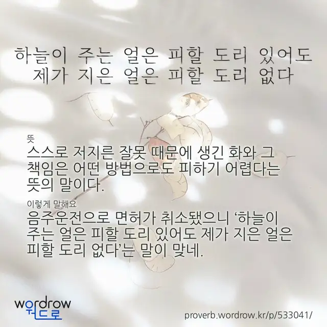 “하늘이 주는 얼은 피할 도리 있어도 제가 지은 얼은 피할 도리 없다” 글씨와 뜻·예문이 완성된 속담 영상 포스터