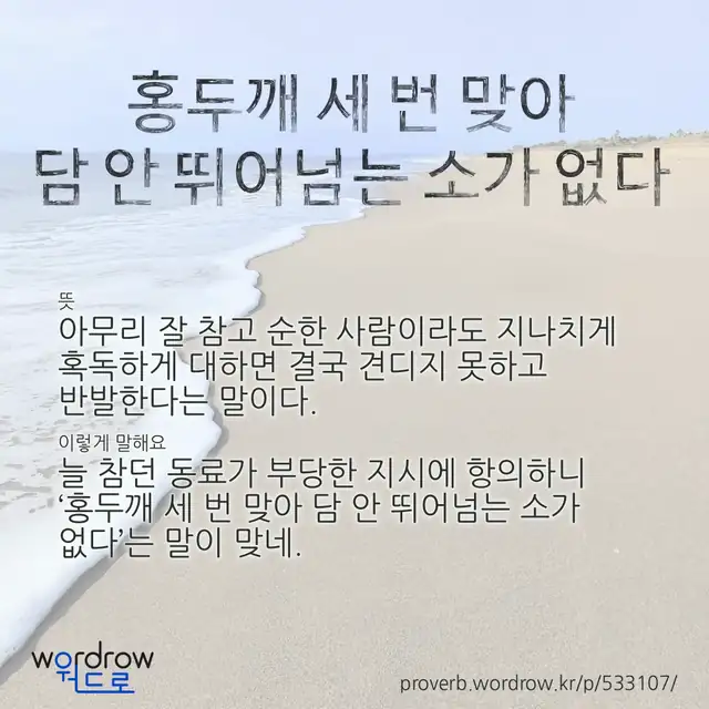 “홍두깨 세 번 맞아 담 안 뛰어넘는 소가 없다” 글씨와 뜻·예문이 완성된 속담 영상 포스터