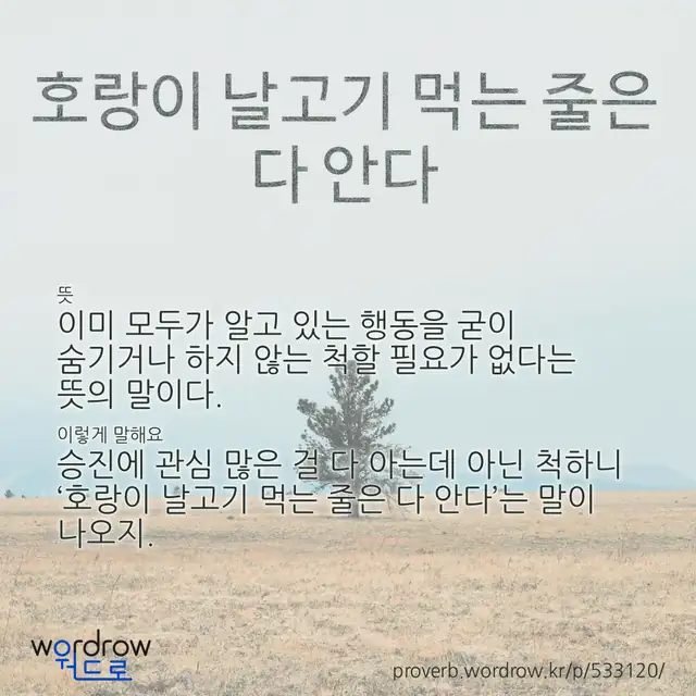 “호랑이 날고기 먹는 줄은 다 안다” 글씨와 뜻·예문이 완성된 속담 영상 포스터
