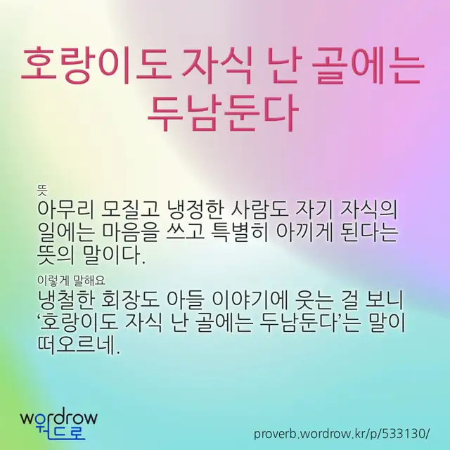 “호랑이도 자식 난 골에는 두남둔다” 글씨와 뜻·예문이 완성된 속담 영상 포스터