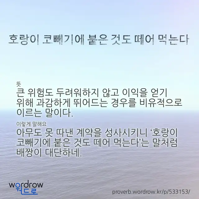 “호랑이 코빼기에 붙은 것도 떼어 먹는다” 글씨와 뜻·예문이 완성된 속담 영상 포스터